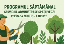 Echipele Gospodărire Urbană, în teren pentru îngrijirea spațiilor verzi. Iată unde vor interveni săptămâna aceasta