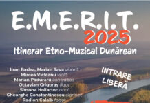 Serate culturale pe acorduri muzicale la Muzeul Eparhial