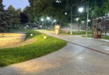 Noua etapă de dezinsecție, în desfășurare. Se intervine noaptea și la primele ore ale dimineții