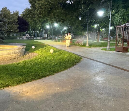 Noua etapă de dezinsecție, în desfășurare. Se intervine noaptea și la primele ore ale dimineții