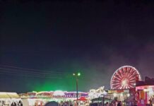 Peste 100 de jandarmi și polițiști mobilizați pentru siguranța Iarmarocului Moldovenesc de la Tecuci