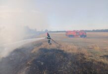 Incendiu de vegetație uscată la Fundeni