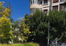 Lucrări de întreținere, reparații și igienizări executate de Gospodărire Urbană