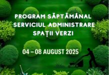 Program. Iată în ce zone lucrează Gospodărire Urbană, săptămâna asta, pentru întreținerea spațiilor verzi