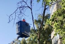 Echipele Gospodărire Urbană, în cartiere pentru întreținerea spațiilor verzi și menținerea siguranței