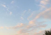 Un mort și trei răniți într-un accident rutier pe DJ 255