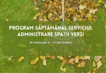 Program. Iată în ce zone va lucra Gospodărire Urbană, săptămâna aceasta, pentru întreținerea spațiilor verzi