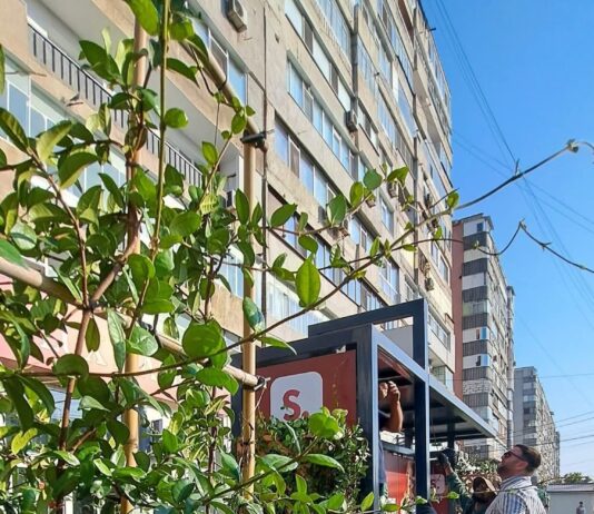 Ionuț Pucheanu: „Se amenajează prima stație verde pentru transportul din Galați”