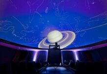 Audit la Complexul Muzeal de Științele Naturii din Galați