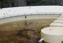 Echipele Gospodărire Urbană, în teren pentru intervenții de urgență