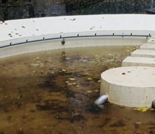 Echipele Gospodărire Urbană, în teren pentru intervenții de urgență