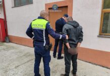 Bărbat arestat preventiv pentru uciderea unui pui de pisică