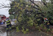 Intervenții ale pompierilor în urma fenomenelor meteo din noaptea trecută