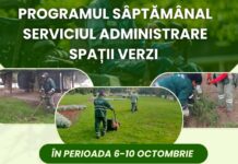 Program. În ce zone lucrează Gospodărire Urbană, săptămâna aceasta, pentru întreținerea spațiilor verzi