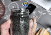 Braconaj la sturioni