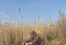 Batrână dispărută de acasă, găsită de un câine salvator