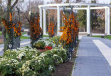 Evenimentele acestui weekend, la Galați