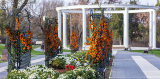 Evenimentele acestui weekend, la Galați