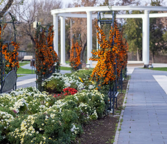 Evenimentele acestui weekend, la Galați