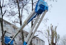 Fasonări și lucrări de întreținere a spațiilor verzi