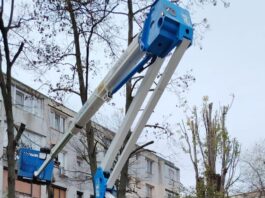 Fasonări și lucrări de întreținere a spațiilor verzi