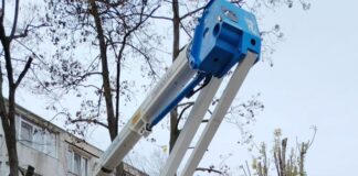 Fasonări și lucrări de întreținere a spațiilor verzi