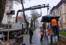 Ionuț Pucheanu: „Am ales ca noile refugii pe care le instalăm acum să aibă un aspect retro”