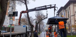 Ionuț Pucheanu: „Am ales ca noile refugii pe care le instalăm acum să aibă un aspect retro”