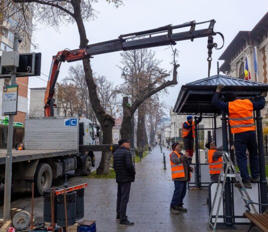 Ionuț Pucheanu: „Am ales ca noile refugii pe care le instalăm acum să aibă un aspect retro”