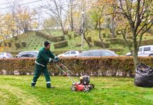 Lucrări de întreținere a spațiilor verzi