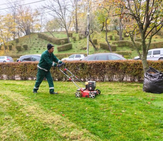 Lucrări de întreținere a spațiilor verzi