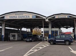 Asigurare tip carte verde falsă descoperită la frontieră