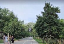 Trei construcții provizorii de pe Faleza Dunării vor fi demolate. Primăria pregătește terenul pentru modernizarea Falezei