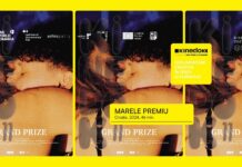 Ultima proiecție KineDok din 2025, la Muzeul de Artă Vizuală