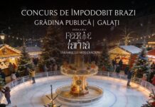 Elevii și profesorii sunt invitați la o nouă ediție a concursului de împodobit brazi