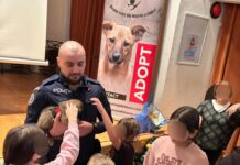 Lecții de empatie și responsabilitate față de animale, în Săptămâna „Școala altfel”