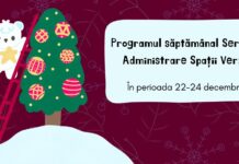 În prag de Crăciun, Gospodărire Urbană încă lucrează la spațiile verzi