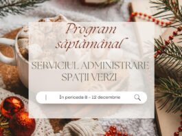 Echipele Gospodărire Urbană continuă să fie zilnic în teren