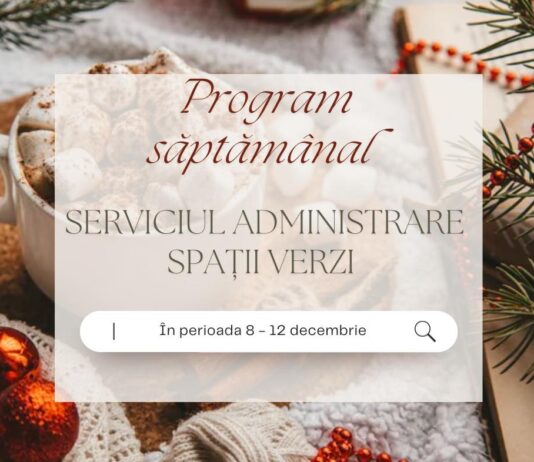 Echipele Gospodărire Urbană continuă să fie zilnic în teren