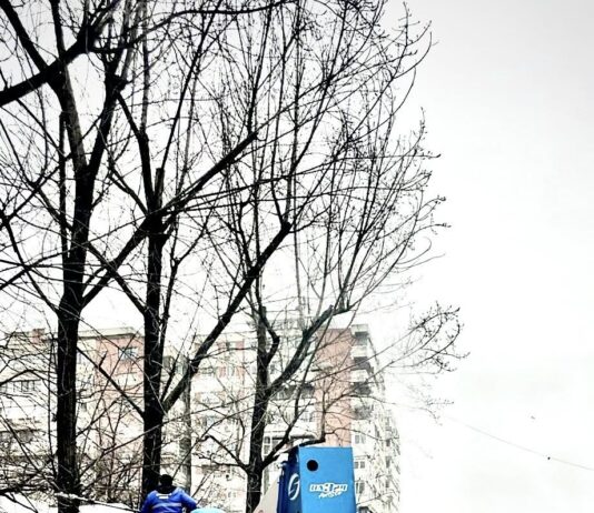 Intervenții ale Gospodărire Urbană pentru fasonări de copaci