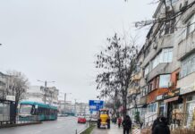 Echipele Ecosal – în teren, inclusiv pe timpul nopții, pentru combaterea poleiului