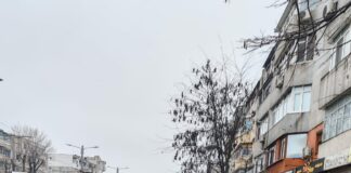 Echipele Ecosal – în teren, inclusiv pe timpul nopții, pentru combaterea poleiului