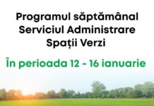Program. Iată ce activități desfășoară Gospodărire Urbană pentru întreținerea spațiilor verzi