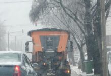 Ninsoare. Sărărițele Ecosal, în teren, la comanda Primăriei