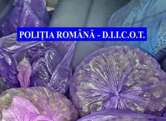 Captură de cannabis la Galați