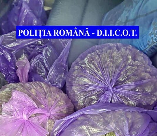 Captură de cannabis la Galați