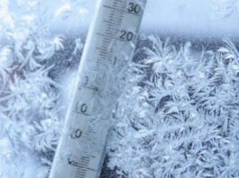 Cod galben de ger la Galați