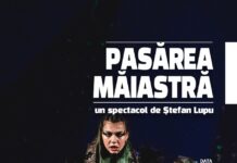 Spectacolele săptămânii la Teatrul ”Gulliver”