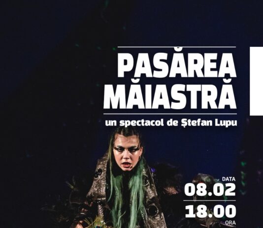 Spectacolele săptămânii la Teatrul ”Gulliver”