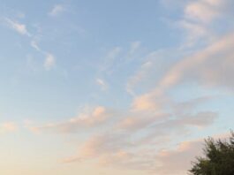 Bilanț alarmant pe drumurile din județ: 32 de morți și 133 de răniți grav, anul trecut